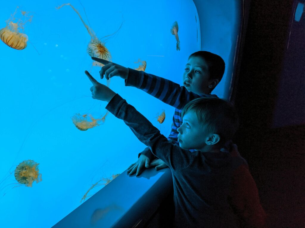 Two boys watching jellyfish at the Baltimore Aquarium, captivated by the underwater display.